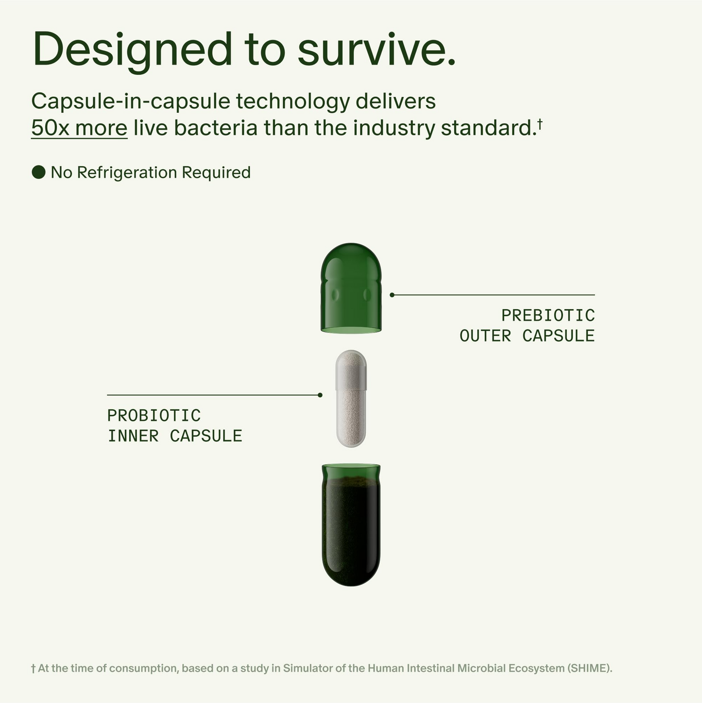 DS-01®Daily Synbiotic